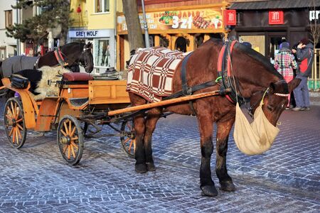 ZAKOPANE, POLAND - JANUARY 06, 2016: Horse drawn in a tourist cart on the famous Krupowki street in the historical part of the Zakopane in sunny winter day.のeditorial素材