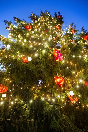 Beautiful close up view of the Christmas tree and shining toys with evening blue sky on the background.の写真素材