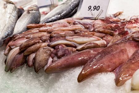 Calamari on the ice in the market.の写真素材