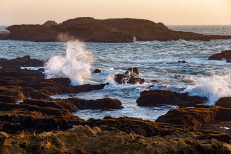 View of the volcanic shore of the Atlantic Ocean in the area of Essaouira in Morocco on a summer evening.の写真素材