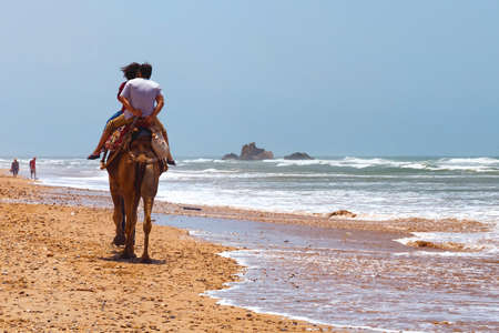 ESSAOUIRA, MOROCCO - JUNE 10, 2017: Unknown tourist couple riding camels along the edge of the Atlantic ocean coast.のeditorial素材