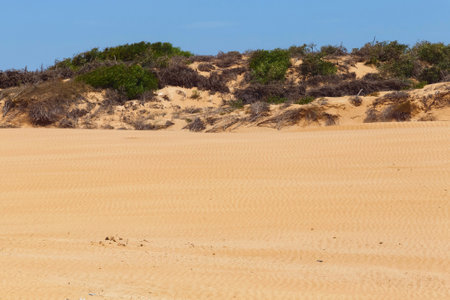 View of the sandy beach of the African ocean coast. Essaouira, Morocco.の写真素材