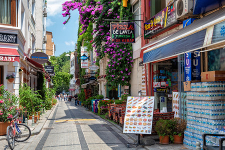 ISTANBUL, TURKEY - JULY 06, 2018: View of the narrow Taya Hatun Sk street in the center of the Istanbul.のeditorial素材