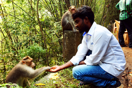 Young man feeding a monkey