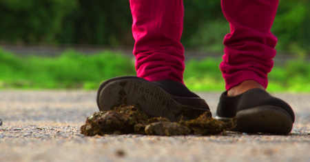 Young woman leg and foot stepping on cow dungの写真素材
