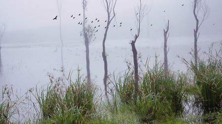 Clouds moving through the Mountains of India.の写真素材