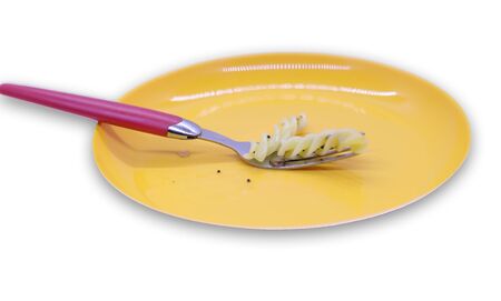 plate of italian pasta with fork on white backgrounds