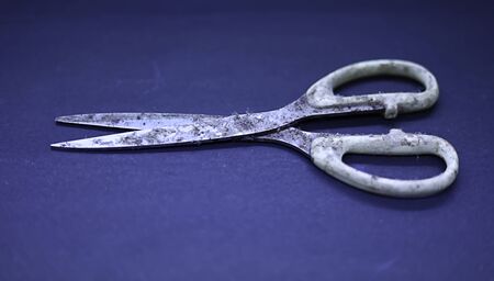 very old rusty scissors or metal scissors on blue backgroundsの写真素材