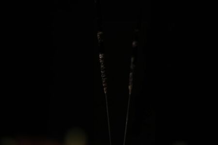 Extinguished Bright fireworks on a black backgroundsの写真素材