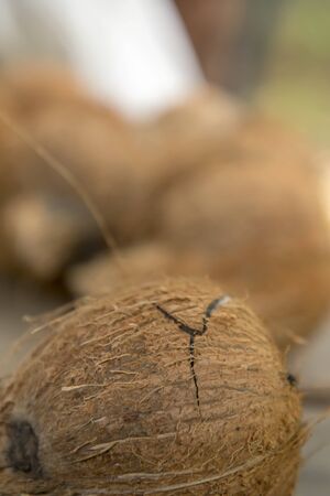 Closeup shot of Focus on coconut bursting on ground