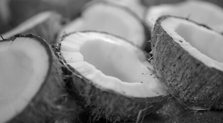 Dried coconut is cut in half, black and whiteの写真素材