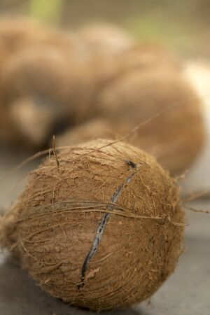 Focus on coconut bursting on groundの写真素材