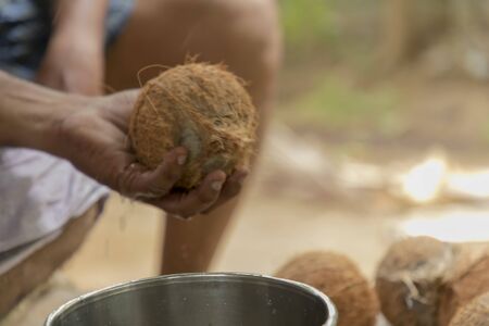 Cropped Hand Of Man Holding Coconut, Closeupの写真素材