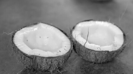 Dried coconut is cut in half, Black and Whiteの写真素材