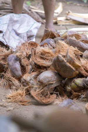 Close-up view of a coconut peeler peeling off coconutの写真素材