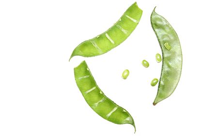 Broad beans on white backgrounds