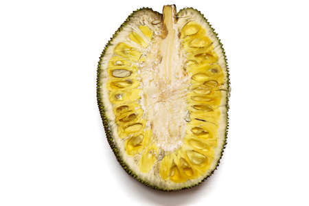 Ripe Jackfruit isolated on white backgrounds