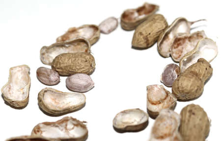Group of peanuts isolated on white backgrounds