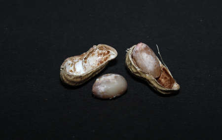 Group of peanuts isolated on black backgrounds