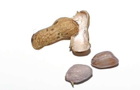 peanuts isolated on white backgrounds