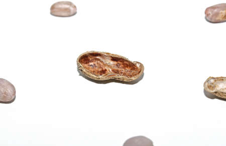 Top view of Peanuts hulls nut shell and peeled peanuts isolated on white backgroundsの写真素材