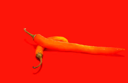 red hot chili peppers isolated on red backgroundsの写真素材
