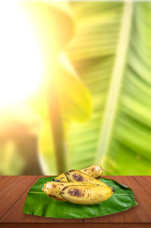 A Yellow banana on top of a green banana leaf on the table against the backdrop of a beautiful sunny banana treeの写真素材
