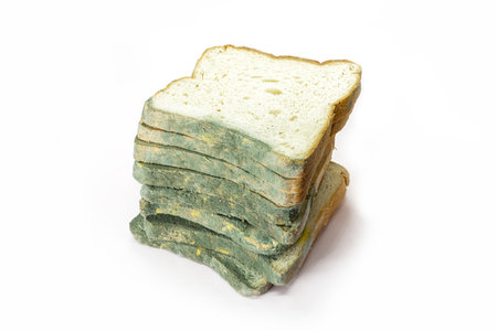 Fungal bread isolated on white background. Biodegradable food concept.の写真素材