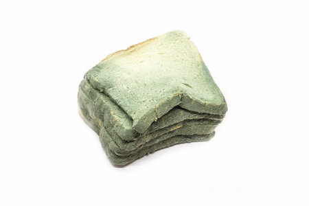 Food waste concept. Fungal bread isolated on white background.