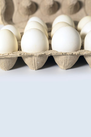 White eggs in a carton box on white background with copy space for text