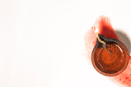 Hindu tradition Diwali diya oil lamps burning over paint stroke on white background. Copy space for text.の写真素材