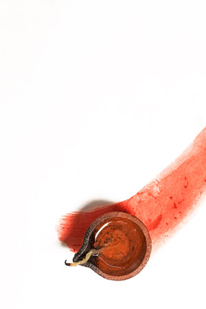 Hindu tradition Diwali diya oil lamps burning over paint stroke on white background. Copy space for text.の写真素材