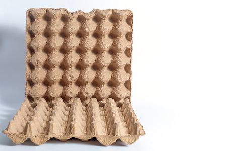 An environmentally friendly cardboard egg tray designed to safely hold and transport multiple eggs.