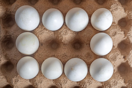 White eggs neatly stacked in rows inside a brown cardboard box emphasize order and freshness.の写真素材
