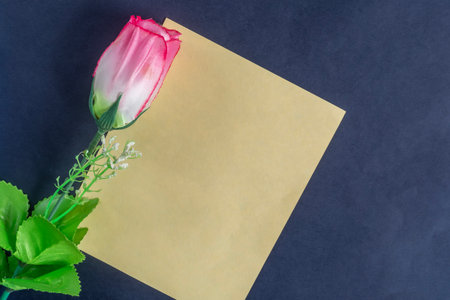 An attractive composition of a pink rose with a blank yellow card, perfect for messages.の写真素材