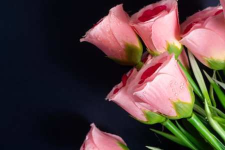 Pink artificial roses with soft water droplets arranged on a dark background. Perfect for beauty, romance, and decorative design.の写真素材