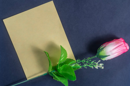 Single red rose in a yellow cardboard box on a dark background. Valentine's Day.の写真素材