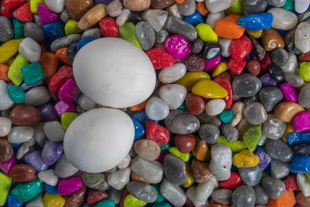 A close-up of two soft white eggs placed on a bed of colorful, vibrant stones. perfect for artistic, decorative or conceptual themes.の写真素材