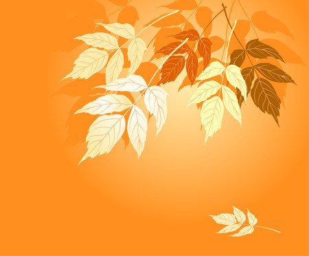 Autumn yellow leaves fall on the groundのイラスト素材