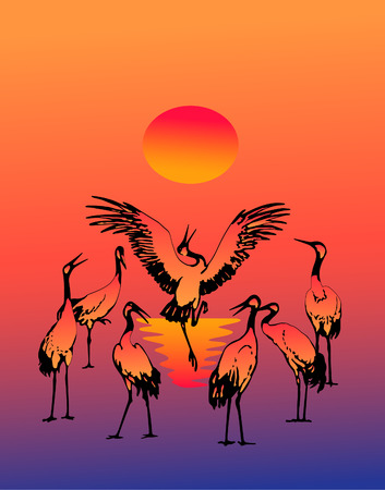 Dancing fine storks in the morning on lakeのイラスト素材