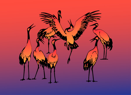 Seven dancing storks in the evening on lakeのイラスト素材