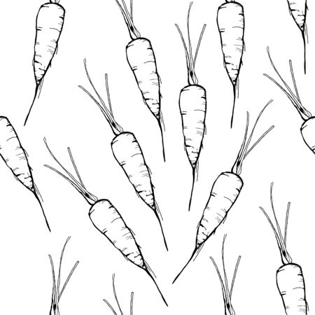 Vector Hand drawn outline seamless pattern with contour carrots. Monochrome Black-and-white illustration. Vegetables digital paper.のイラスト素材