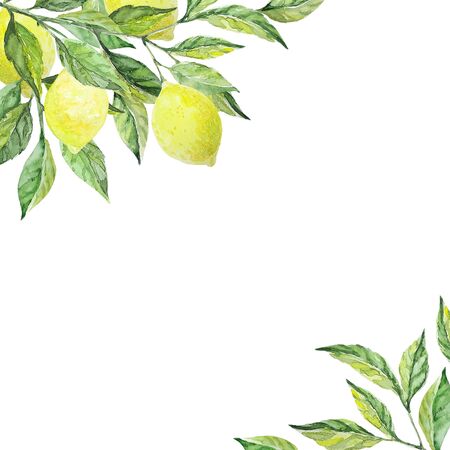 Frame with lemon branch and leaves. Watercolor illustration. Ideal for invitation, congratulations, messages, photos, cardの写真素材