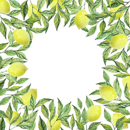 Frame with lemons and branches on white background. Watercolor illustration. Design for card, scrapbooking, invitations, congratulations, photo. High quality 300 dpi.の写真素材