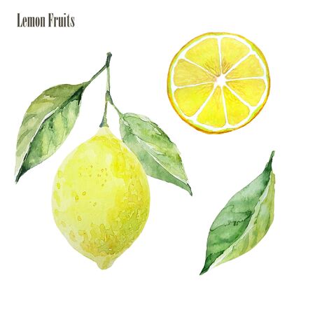 Lemon clipart set. Watercolor illustration. Lemon fruit, lemon slice, green leaves. Ideal for packaging eco products, scrapbooking, eco-style party design, logo, wrapの写真素材
