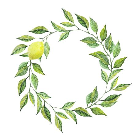 Wreath of leaves with one lemon fruit. Watercolor hand drawn illustration. Ideal for cards, invitations, congratulations, save date.の写真素材
