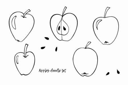 Vector Apples clipart set. Doodle sketch illustration. Whole apple, half apple and seeds. Perfect for packaging eco products, scrapbooking, party design, logo, wrapping, logoの写真素材