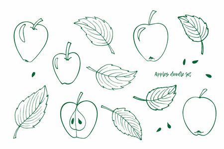 Vector clipart set of Apples and Leaves. Green Doodle sketch illustration. Whole apple, half apple, leaves, seeds. Perfect for packaging, scrapbooking, party design, logo, wrapping, invitation, cardの写真素材