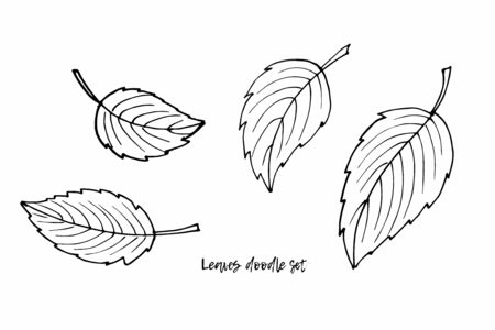 Vector leaves clipart set. Doodle sketch illustration. Floral Herb Design elements. Perfect for packaging, scrapbooking, party design, logo, wrapping, wedding invitation, greeting card, blog, posterの写真素材