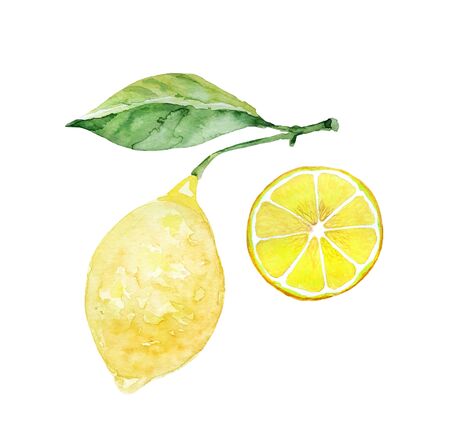 Lemon on a branch with a leaf and a slice of lemon. Watercolor illustration set. Isolate on white backgroundの写真素材